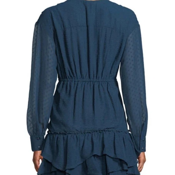 Tiered Ruffle Swiss Dot Fit-and-Flare Dress - Picture 5 of 7